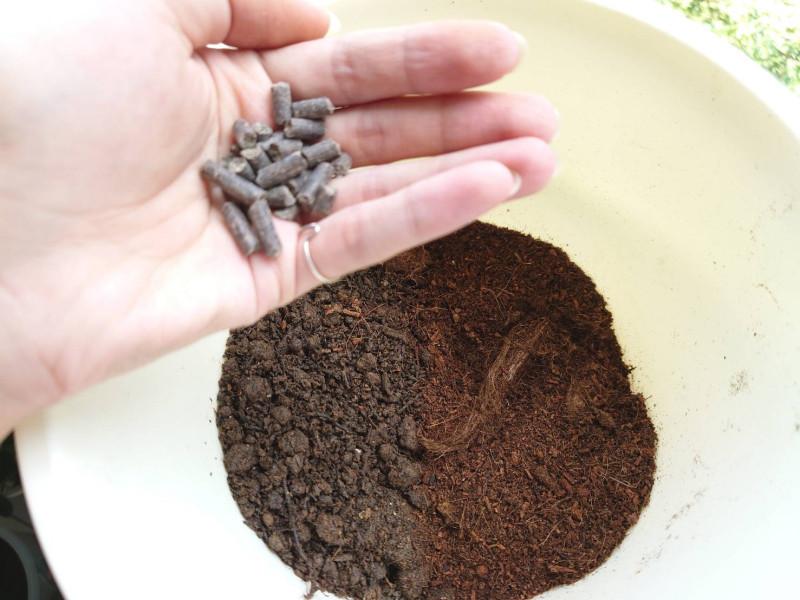 將重生土與新土2比1混合、並加入有機質肥料作為基肥。   圖：新北市景觀處提供