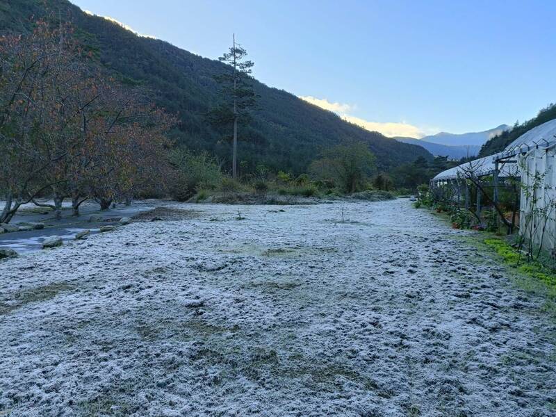 今日台中武陵農場一度出現逼近0度低溫，讓農場北谷與南谷地面結霜。   圖：武陵農場／提供