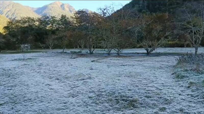 今日武陵農場結霜變身銀白世界。   圖：武陵農場／提供