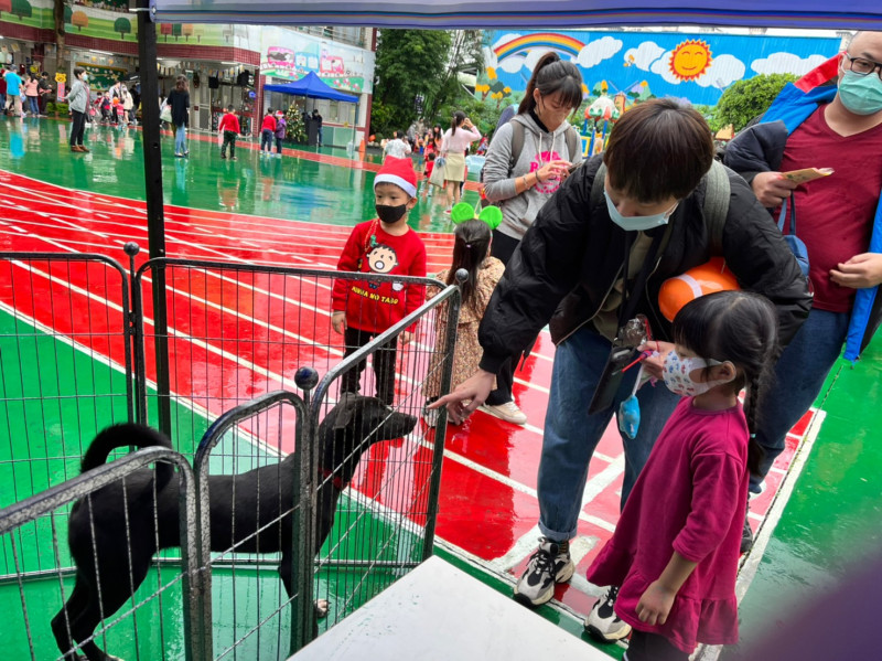 現場家長帶學童與待認養犬隻互動。   圖：新北市動保處提供