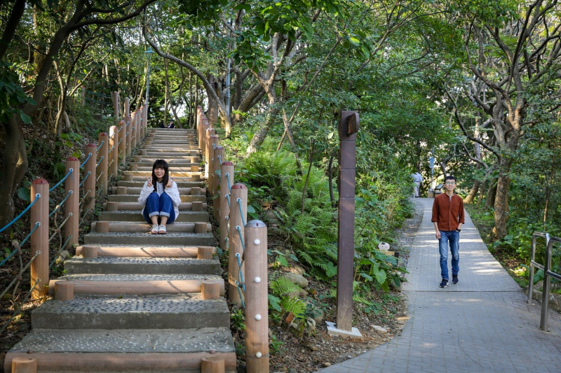 中和區自強公園化身都市森林。   圖：新北市景觀處提供