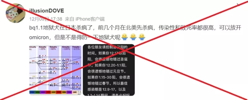 中國網路上傳出「地獄犬」變種病毒在日本「殺瘋了」，但查證後證實此為謠言。   圖:翻攝自澎湃新聞