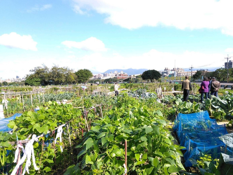 農友互相觀摩及聊天。   圖：新北市高灘處提供