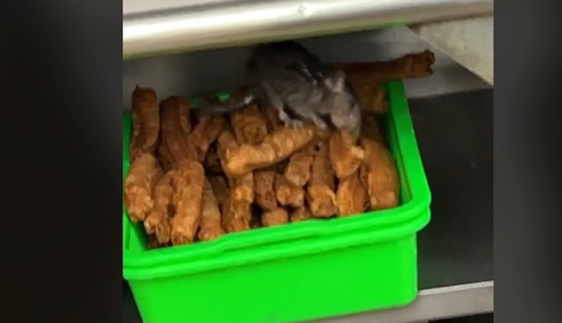 網友在桃園區某豆漿店準備結帳時，赫然發現1隻大老鼠正在油條堆中大快朵頤。   圖：翻攝「爆廢公社2館」