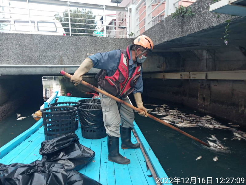 高市環保局一個上午清理4000公斤死魚。   圖：高雄市環保局/提供