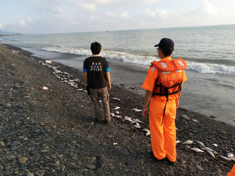 屏東縣枋寮漁港旁的沙灘，今天上午出現綿延3公里魚屍。   圖：屏東縣政府提供