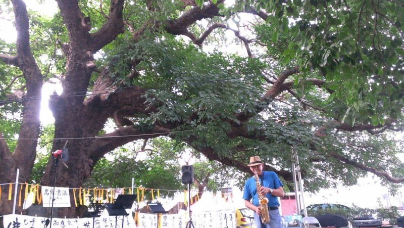 最巨大的茄苳樹，亦為當地居民信仰中心，被譽為「台中之寶」，是都市水泥叢林中的綠色奇蹟，也見證著台中歷史變遷。   圖：翻攝自搶救千年老茄苳台灣全民總動員臉書