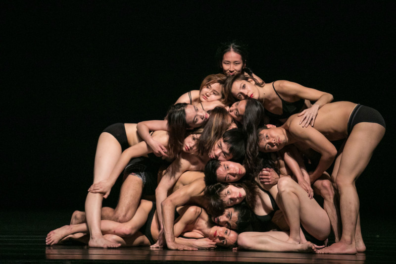 尼德劇團本次與12為台灣舞者合作演出，企圖融合東西文化元素。   圖：由尼德劇團提供