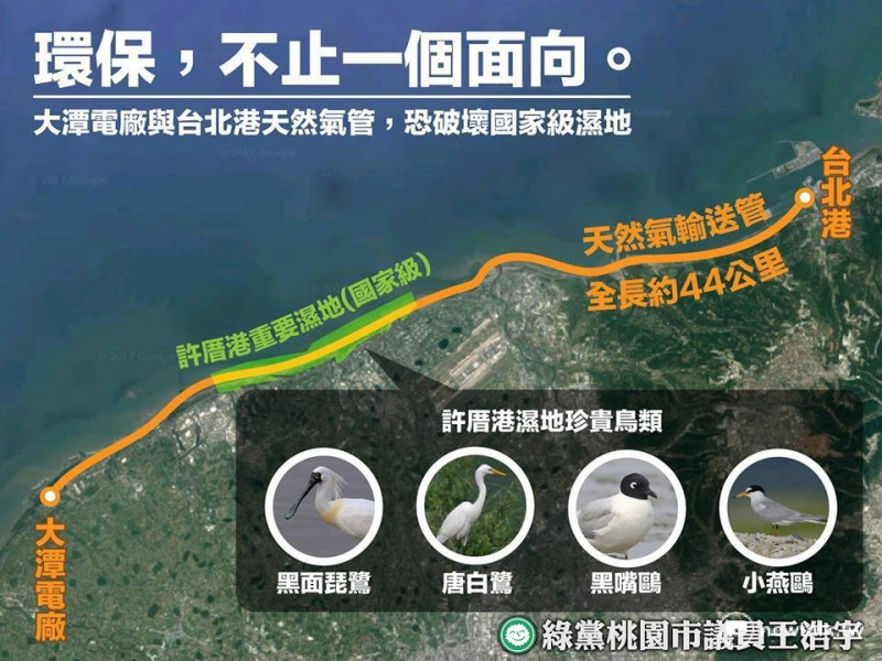 王浩宇對此說明，若將天然氣接收站移至台北港建設，除了成本過高外，還會破壞候鳥生態。   圖：取自王浩宇Facebook頁面