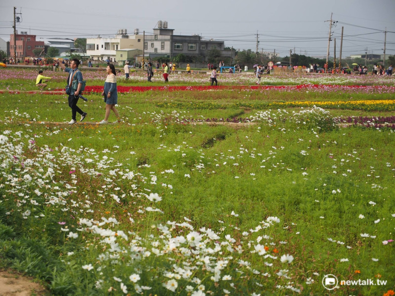 溪海位於桃園市西北邊，是台灣重要的花卉生產基地，今年桃市府將輔導溪海里劃為休閒農業區，主打「漫步田園樂、徜徉花海趣」的休閒產業。   圖：彭素華攝