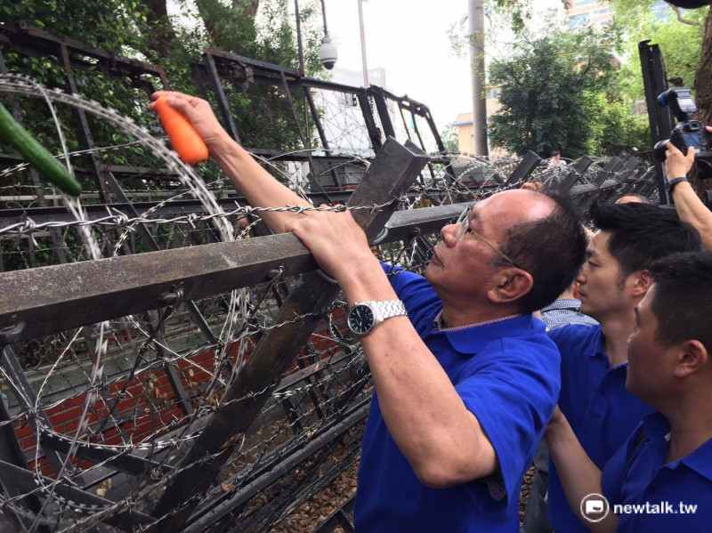 為了抗議立院外圍起蛇籠拒馬，國民黨立委拿起小黃瓜、蘿蔔高掛在蛇籠上。   圖：鄭佑漢/攝