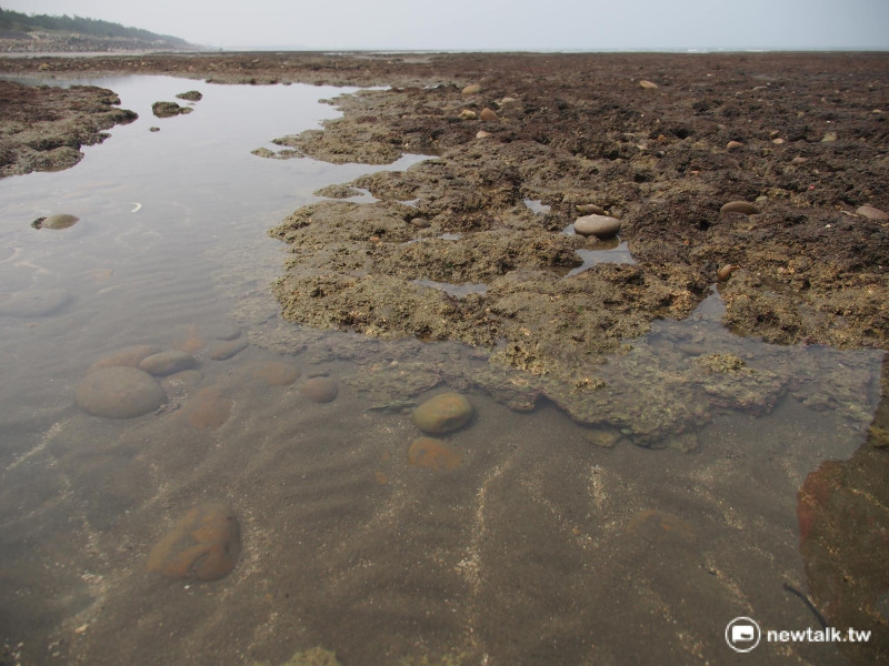 觀新藻礁野生動物保護區採分區管制，永續利用區可自由進入，但緩衝區需事前申請。   圖：彭素華攝