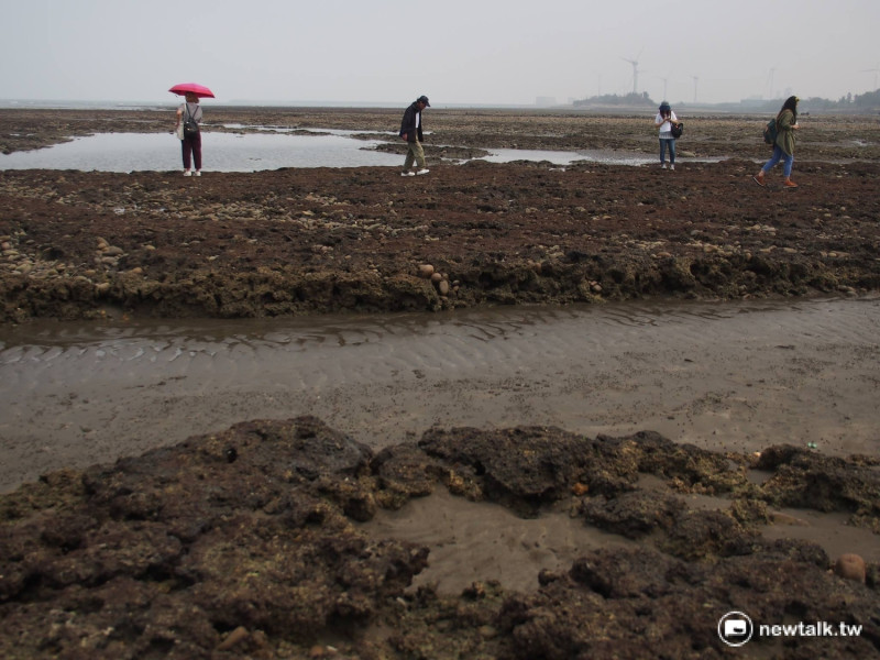 桃園藻礁群近年因工業廢水污染，自然環境大幅被破壞。   圖：彭素華攝