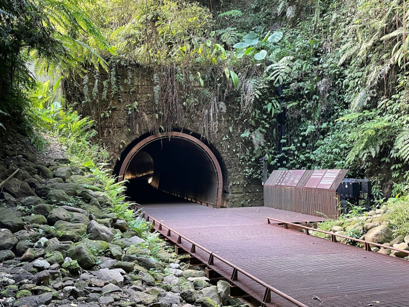 三貂嶺生態友善隧道間原生植被形成獨特小森林樣貌。   圖：新北市觀旅局提供