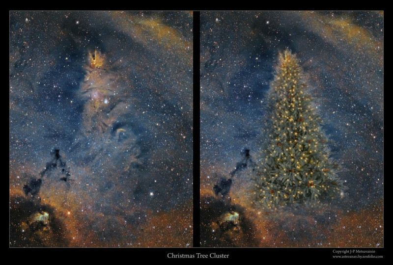 台北市立天文館指出，在冬季星空中也有一株宇宙最大聖誕樹，它的名字叫做NGC2264。   圖：台北市立天文館／提供