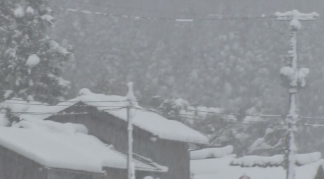 日本新潟縣也出現強降雪。   圖:翻攝自推特/TeNYテレビ新潟/大雪情報発信中 @TeNY4ch 