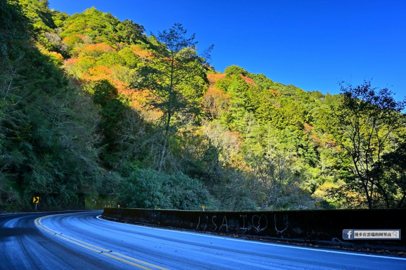 阿里山進入寒冬階段，晨昏接近零度。   圖：取自《漫步在雲端的阿里山》臉書