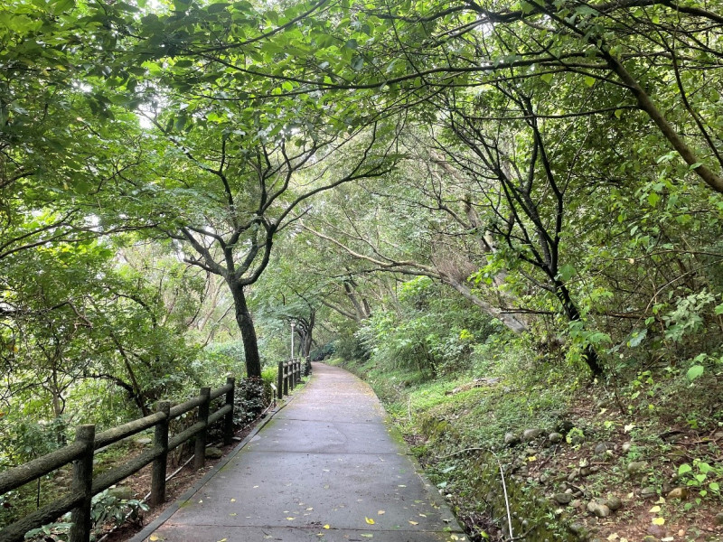 五股水碓觀景公園綠意盎然的森林步道。   圖：新北市景觀處提供