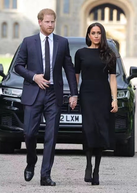 英國王子哈利(左)與妻子梅根。   圖 : 翻攝自環球網
