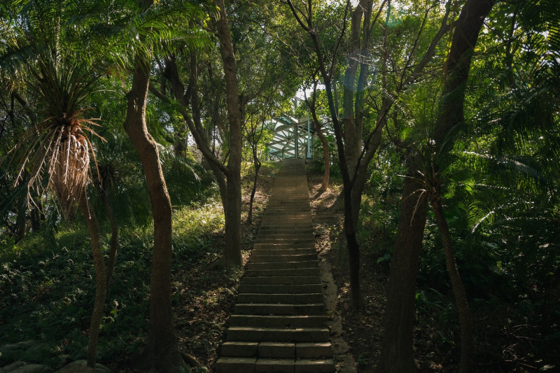 「城市覓徑」-中和區錦和運動公園，林蔭蔥鬱的城市覓徑。   圖：新北市景觀處提供