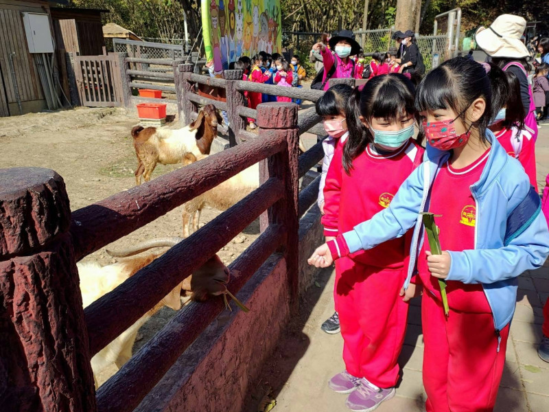 小朋友餵食山羊。   圖：高雄市教育局/提供