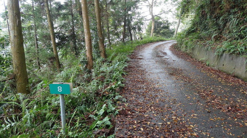 郡大林道近日因天候及山況不穩定，林道沿線仍存在落石及坍方風險。   圖：取自林務局網站