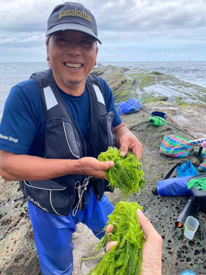 黑毛最喜歡食海藻。   圖：新北市漁業處提供
