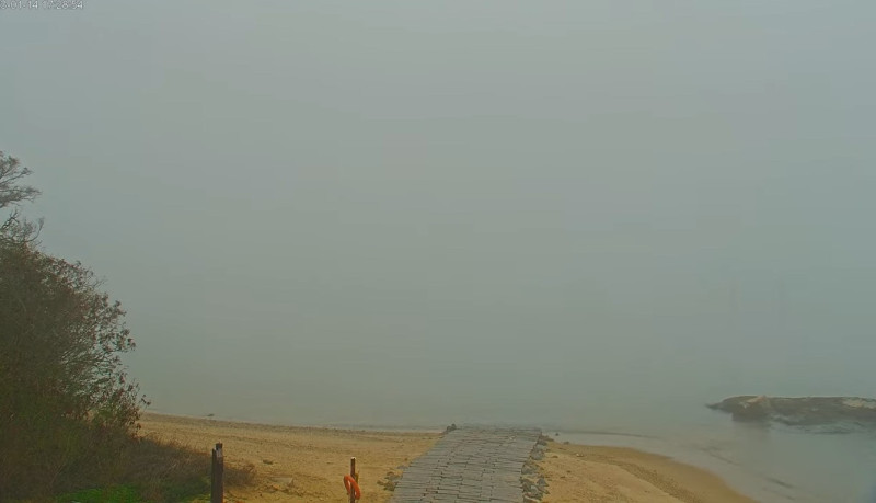 金門地區14日大霧籠罩，氣象局今（15）天凌晨0點55分發布「濃霧特報」。   圖：金門縣政府提供