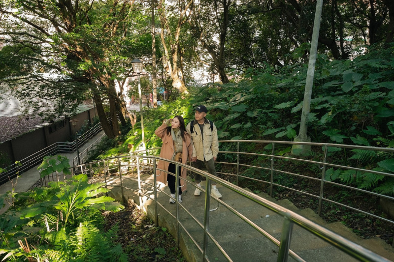 「城市覓徑」-新店區安康森林公園。                                          圖：新北市景觀處提供