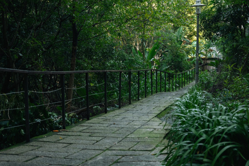 「城市覓徑」-新店區安康森林公園透過低度開發，保留山坡的天然林。                       圖：新北市景觀處提供