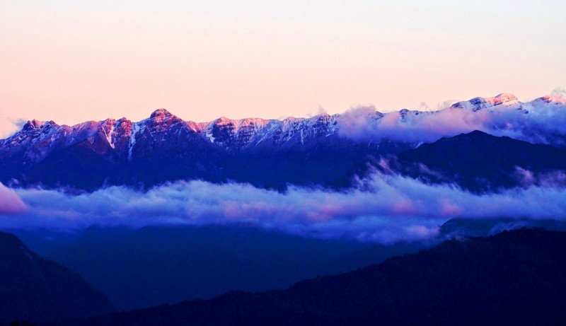 雪霸國家公園觀霧地區的聖稜覆雪，是冬日季節特有的限定美景，有機會欣賞成片赤楊落葉的壯麗景象。   圖：內政部提供