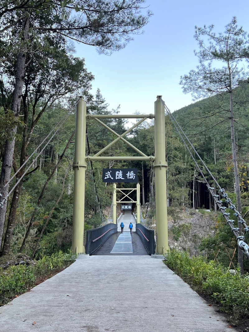 武陵國家森林遊樂區-武陵吊橋。   圖：東勢林區管理處／提供