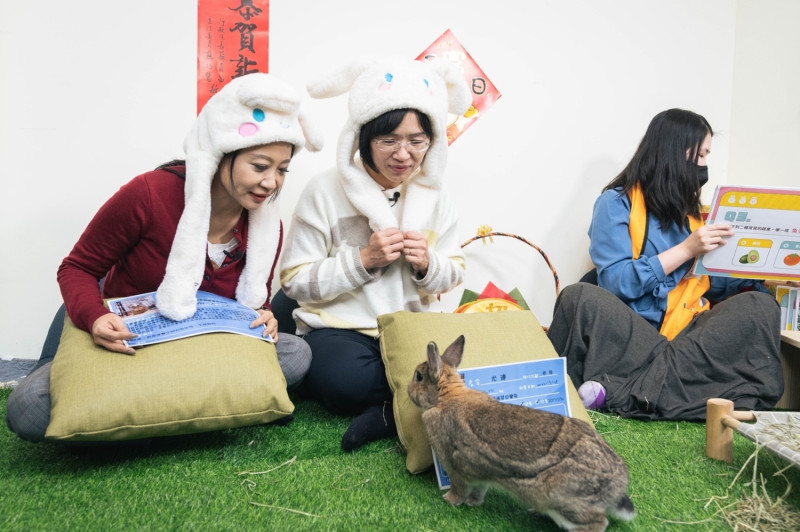蘇巧慧及林楚茵應景地戴上Q版兔子帽，並由浪兔協會志工介紹兔子的習性。   圖：蘇巧慧辦公室提供