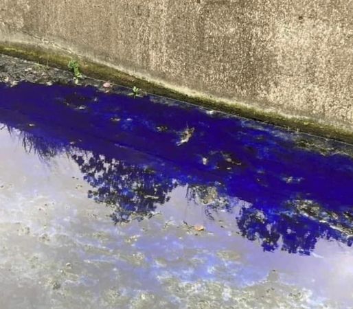王浩宇20日在臉書Po出一張新竹市排水溝呈現鮮豔藍色的照片，   圖：翻攝王浩宇臉書