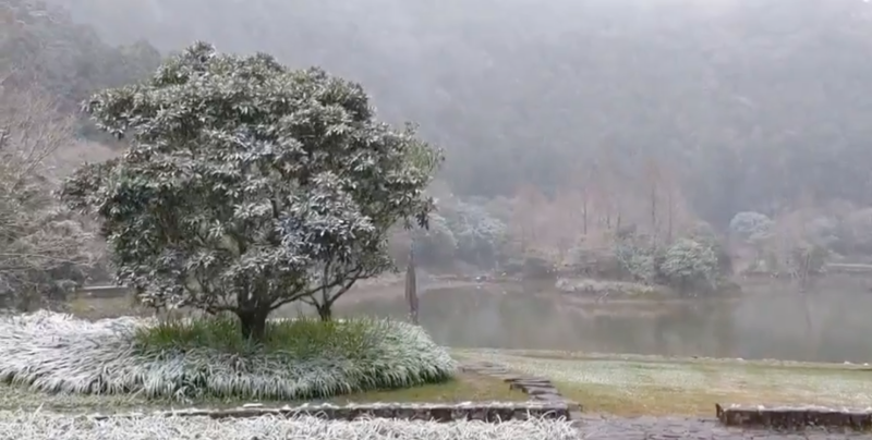 位於高海拔的宜蘭明池國家森林遊樂區下雪，整片森林區化身雪白仙境。   圖：翻攝自明池國家森林遊樂區臉書