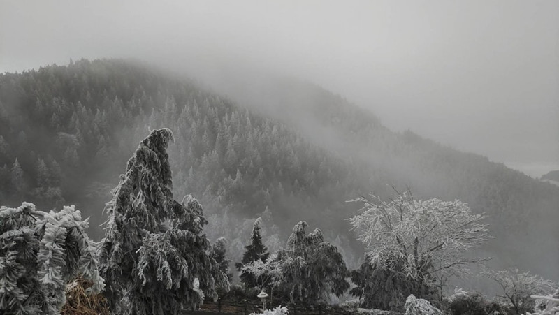 太平山今日霧淞美景。   圖：取自太平山國家森林遊樂區臉書