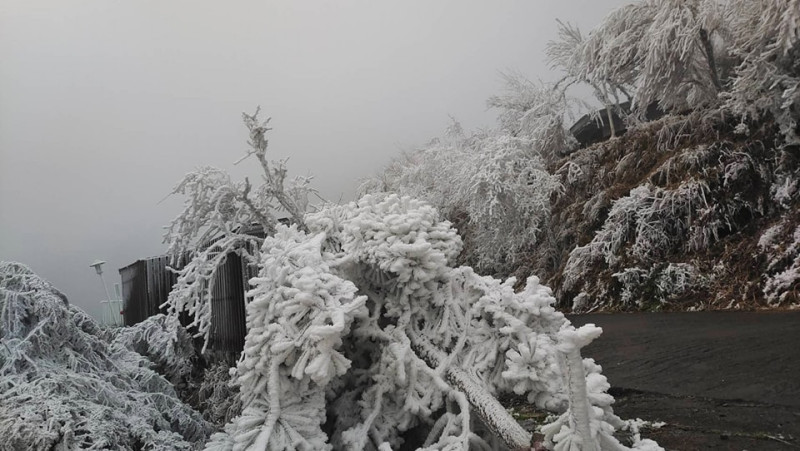 今日太平山回溫至零下1度，霧淞雖然稍有消融，但景色依舊。   圖：取自太平山國家森林遊樂區臉書