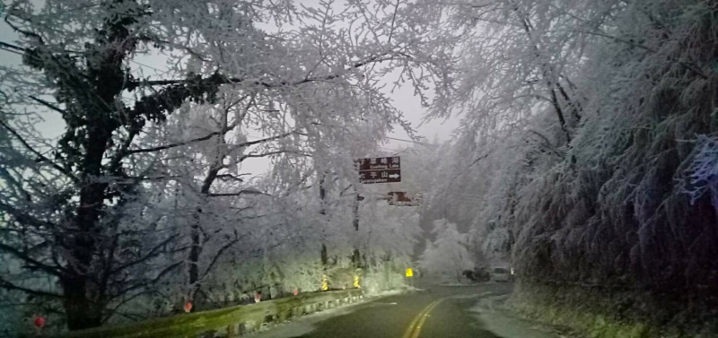 太平山今日路面已無結冰，車輛上山不需要掛雪鏈。   圖：取自太平山國家森林遊樂區臉書