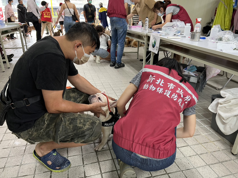 111年新店區狂犬巡迴注射。   圖：新北市動保處提供