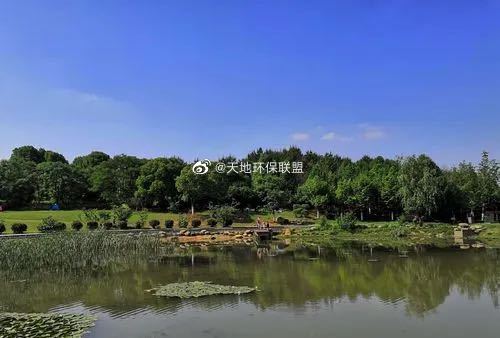 湖北省武漢市江夏區藏龍島國家濕地公園。   圖:翻攝自微博