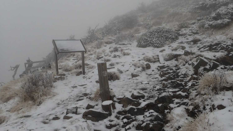 清晨就有山友在雪霸國家公園登山資訊分享站貼出雪景照片，指出「雪山步道9.7公里以上開始有積雪，約2公分左右」。   圖：翻攝自臉書雪霸國家公園登山資訊分享站