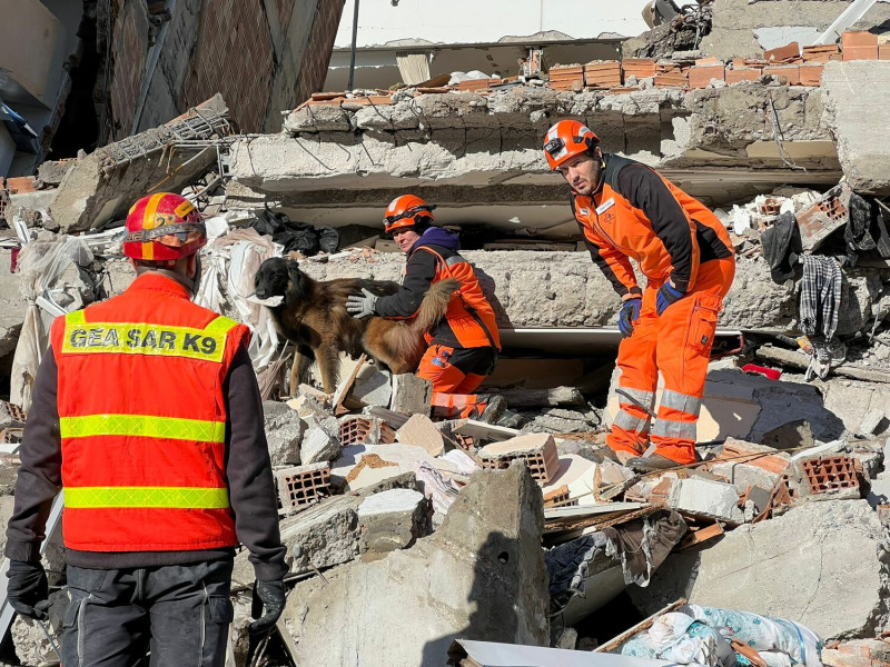 瑞士搜救犬協會的搜救犬與土耳其當地救難隊合作，7日下午在瓦礫堆裡嗅到人類氣味，後來果然找到4名生還民眾。   圖：翻攝自REDOG臉書