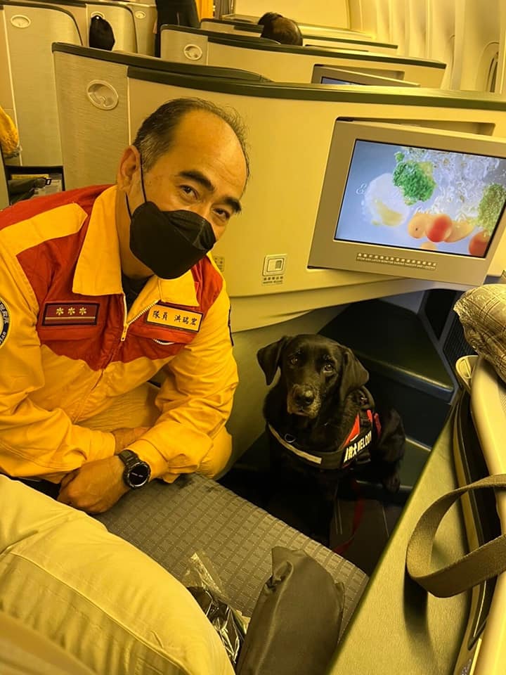 名為「腿腿」、「Melody」的搜救犬也一同乘坐商務艙。   圖：取自內政部臉書