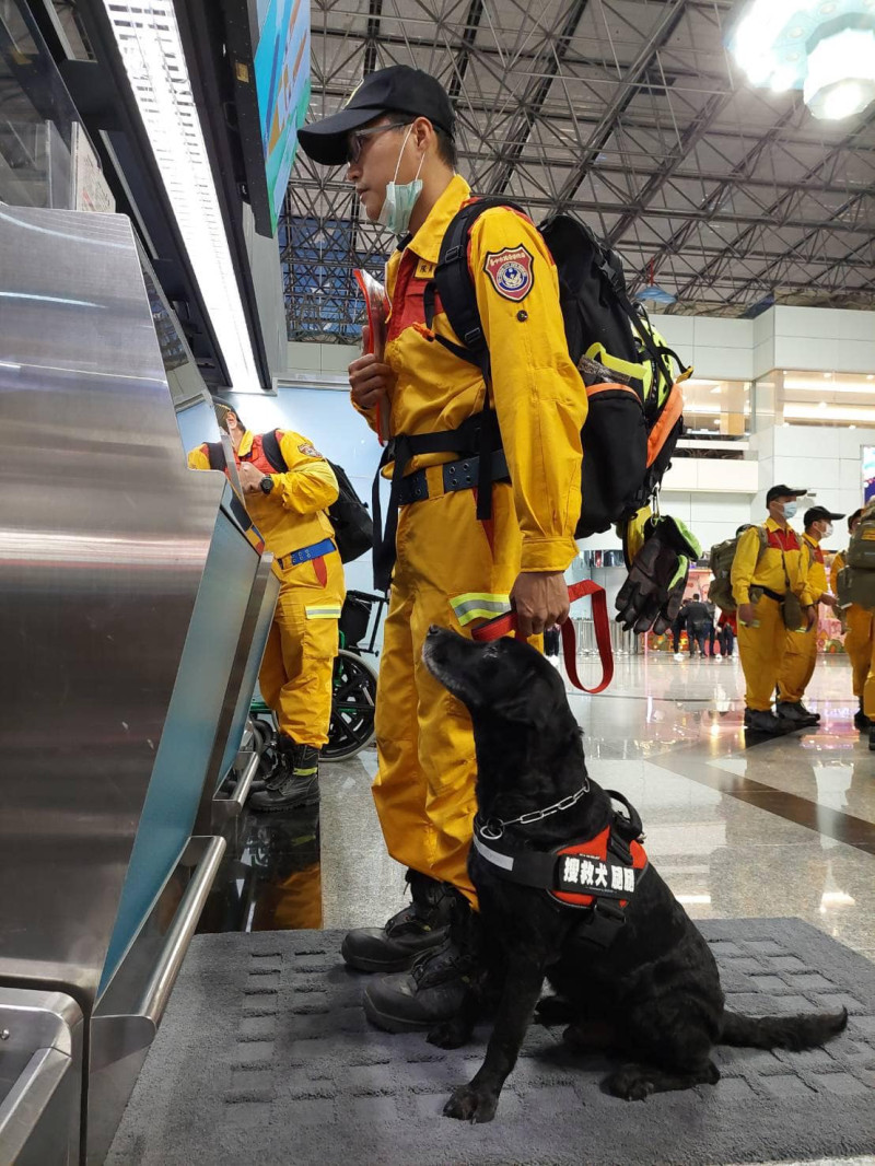 名為「腿腿」、「Melody」的搜救犬也一同乘坐商務艙。   圖：取自內政部臉書