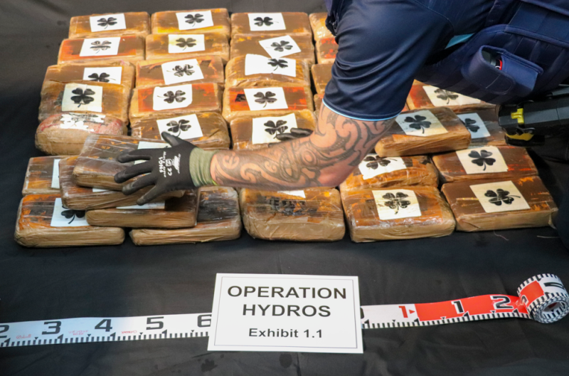 紐西蘭警方在太平洋海面上發現總重3.2噸的古柯鹼，總價高達新台幣95.4億元。   圖：達志影像/美聯社