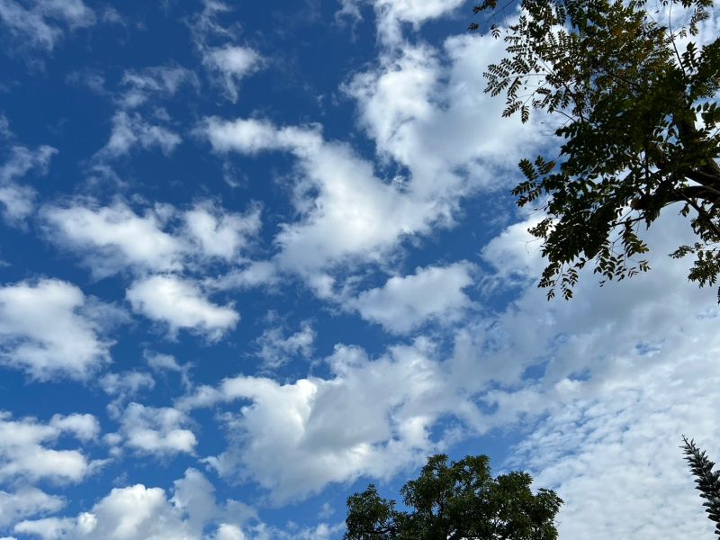 ▲明天各地依舊維持多雲到晴的穩定天氣，預計下週一下半天開始鋒面通過伴隨強冷空氣南下，屆時中部以北及東半部地區將轉為有短暫雨的天氣，各地氣溫也會一路下滑。（圖／記者張志浩攝）   