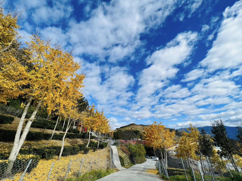 清境農場、合歡山、日月潭為熱門的旅遊景點。(圖為清境農場資料照)   圖：取自清境農場臉書