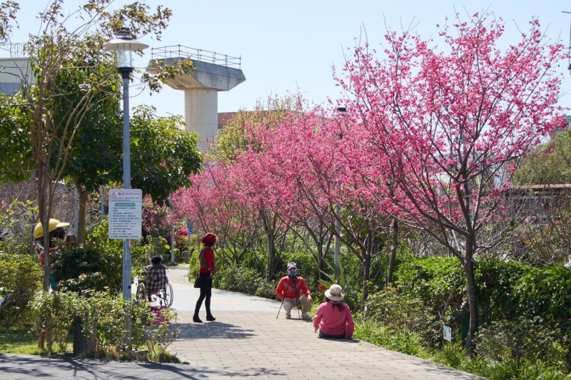 大人小孩都能在這裡感受春暖花開的幸福氛圍。   圖：新北市景觀處提供