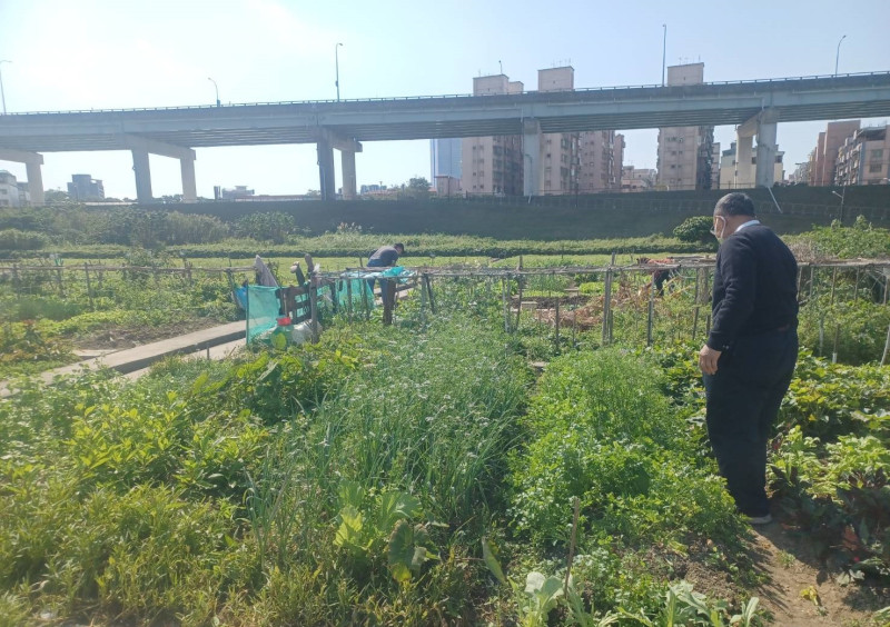 種植的成果，就像看著小孩長大一樣。   圖：新北市高灘處提供