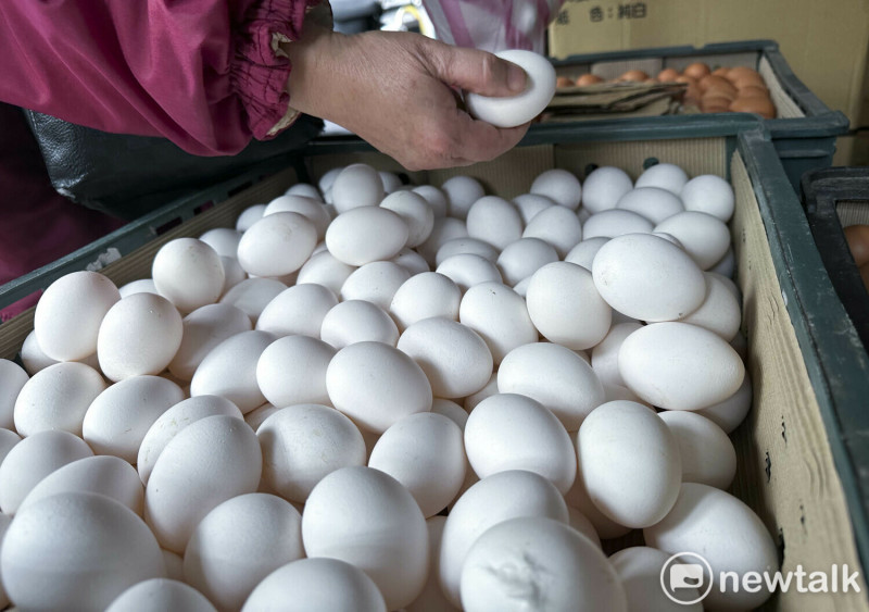 全民夯雞蛋，主要是搶購一斤55元左右的白蛋，造成白蛋供不應求，但是較高品質的土雞蛋、有機蛋，因售價相對高出許多，還是有蛋可買。圖為一位民眾購買一斤55元的白蛋。   圖：張良一/攝